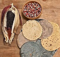 Tortillas con proteína